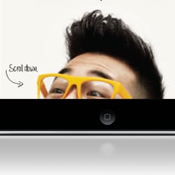 Norton Newphoria Responsive Website Concept