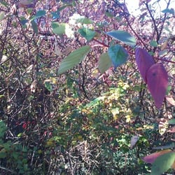 Herbst…Oktober 2012 Teil 02