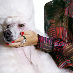 Fashion Stills Legeware
