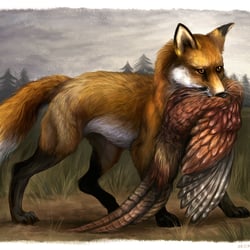 fuchs