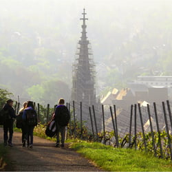 Für Einige der Schulweg: der Neckarhaldenweg. Unten die Stadt Esslingen.