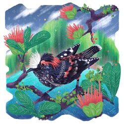 Bedrohte Tierarten – Illustration Series – Akohokohe