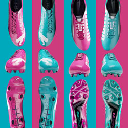 Puma EVO Visualisierung
