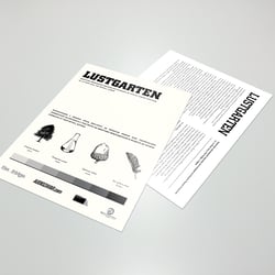 Flyer design