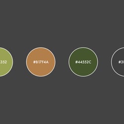 Webdesign