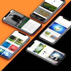 Fotografie und Webdesign