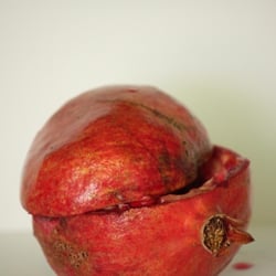 Granatapfel November 2012