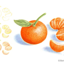 Drawing step-by-step