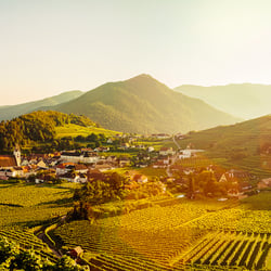 Sonnenuntergang Spitz Wachau – Rotes Tor