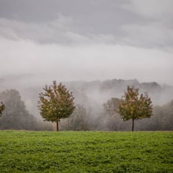 Herbstlandschaft im Nebel