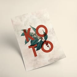 Koto Brand Mock Up