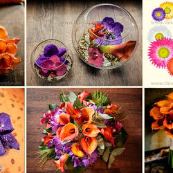 Wedding PurpleGoldPinkWhiteOrange kl wz