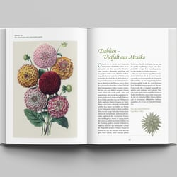 Gartenkultur – Doppelseite 4