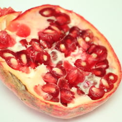 Granatapfel November 2012