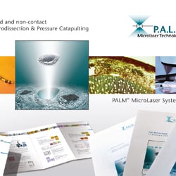 Corporate Design | Print | Web | Messe | Merchendising | Packaging