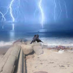 Vom Strandurlaub inspiriert