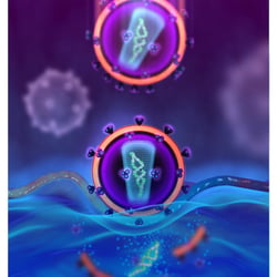HIV-Infektion