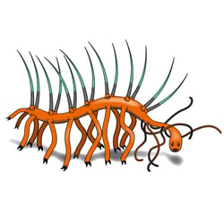 Hallucigenia (Urtier)