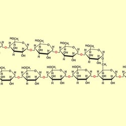 Schematische Darstellung der Strukturformel von Stärke