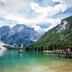 Photo and Editing by Isabella Hepp