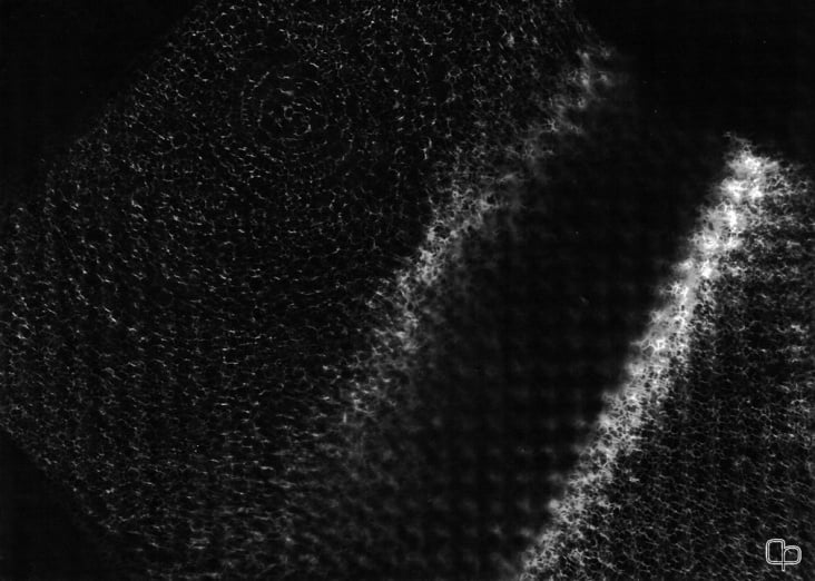 PHOTOGRAMS VI