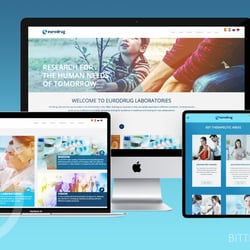 WEBSITE-KONZEPT & ENTWICKLUNG | KEYVISUAL-ENTWICKLUNG