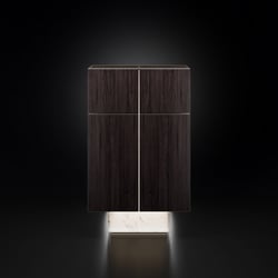 Produkt Rendering Art Deco Barschrank