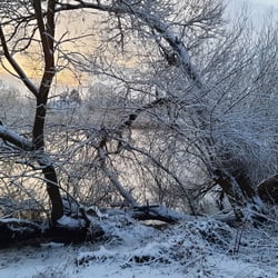 Winter in Bremen