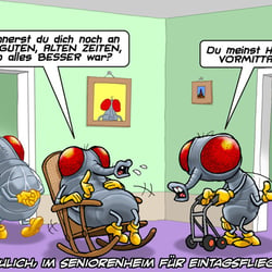 Fliegen