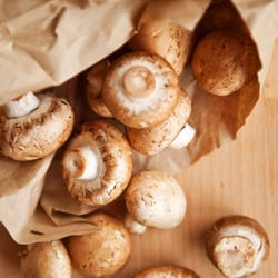 Food – Meine Weinlese in Frankreich