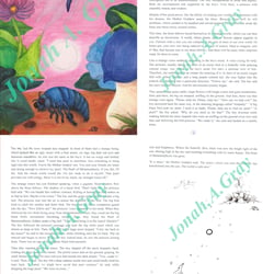 This is my first written story: The Pearl of Metamorphosis. Including the illustration with the same name of the story.