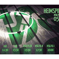 HSG Freiberg – Die Dachse