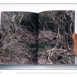 Fotobuch RAUSCHEN 23