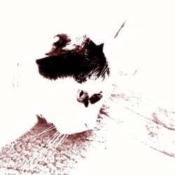 Bastet