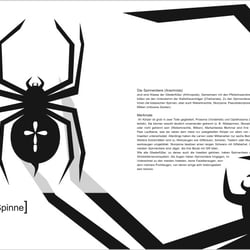 Info Spinne