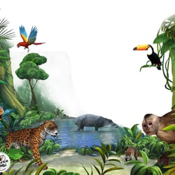 jungle—Serie GPS Ciencias Naturales (Editorial Grupo Macmillan – Argentina 2013)