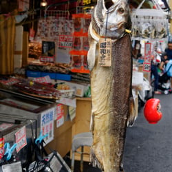 Fischmarkt Tokio
