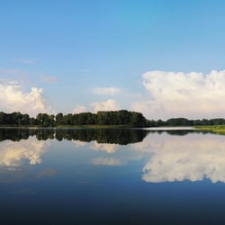 WasserspiegelungamAalkasten
