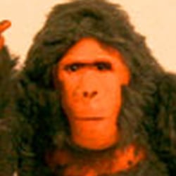 Trickfilmpuppe „Norbert“