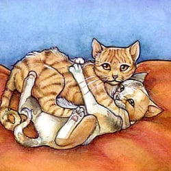 katze
