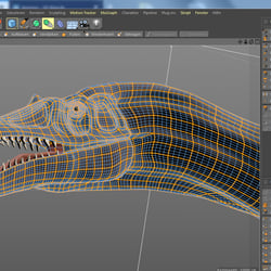 Barionyx mesh