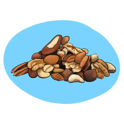 nuts illustration