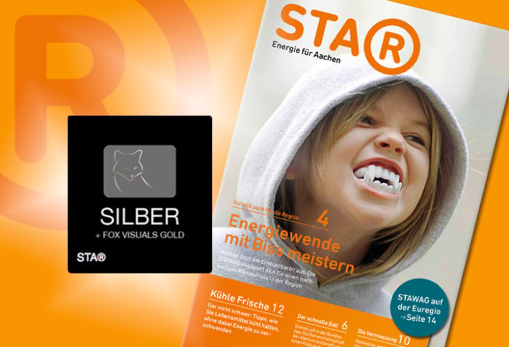 FOX Awards 2013: Silber für den STAR