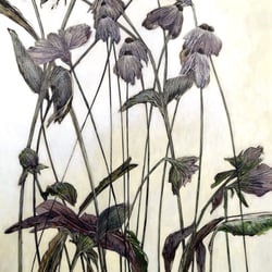 florale 9