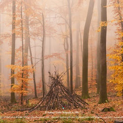 #Kohlhof #Heidelberg #November #Nature #Germany #BadenWuerttemberg #Odenwald