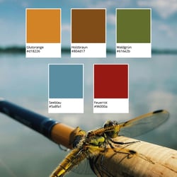 Farbpalette | Naturcamping Ellbogensee