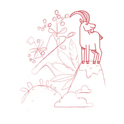 Skizze zu Motiv „Alpensteinbock“