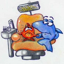 Zitterfisch