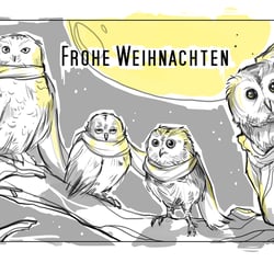 xmas owls