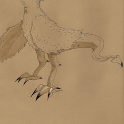 Schuppenvogel